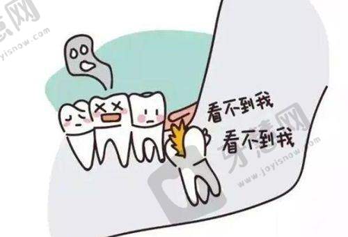 牙得安口腔護理產品的種類與優勢