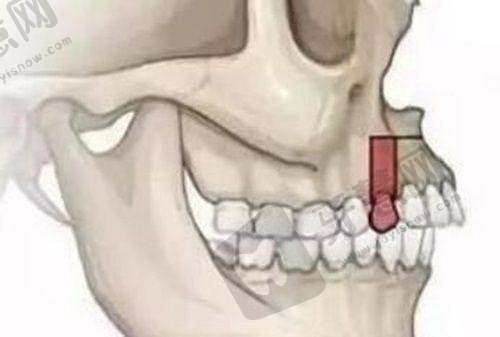 臺灣Abc牙醫集團的服務理念與特色