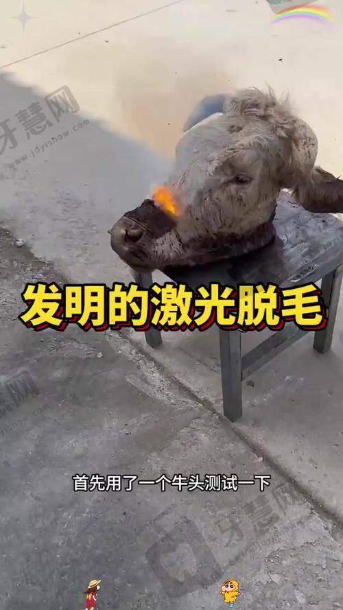 大连未莱医疗美容门诊部激光脱毛服务