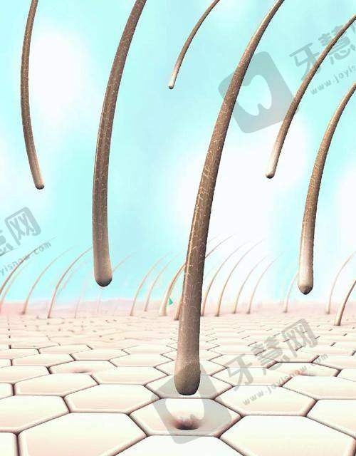 总结与建议