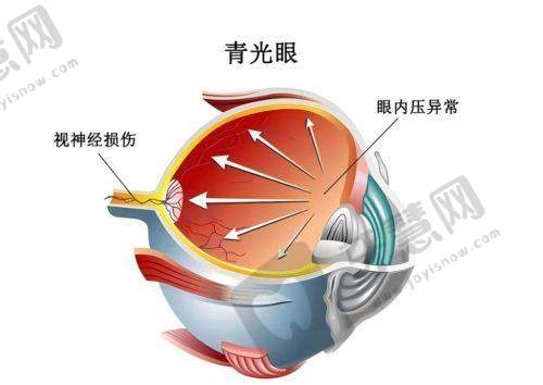 南充爱尔眼科医院基本信息