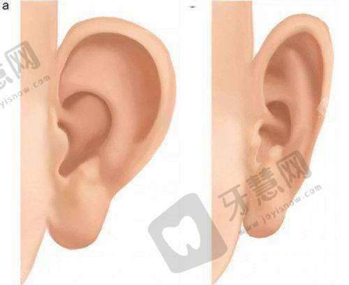 陈嘉文医生2025年收费价目表