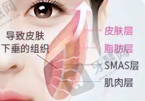 个性化服务与贴心关怀