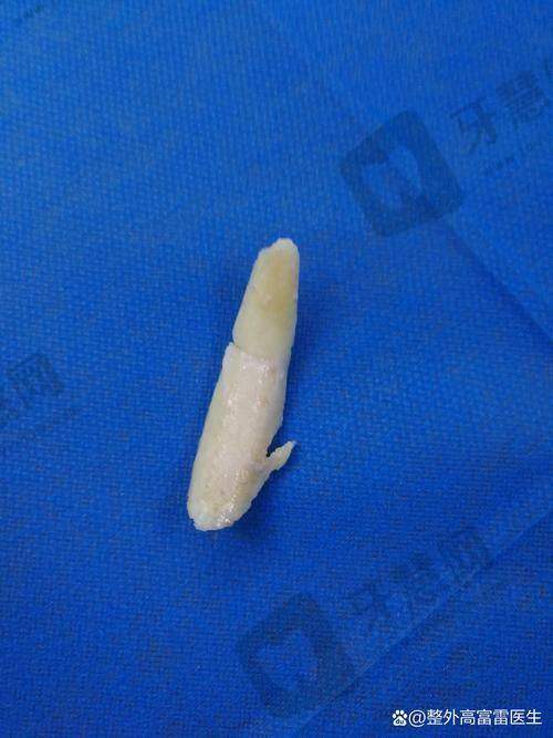 深圳美博瑞整形医院诊疗项目