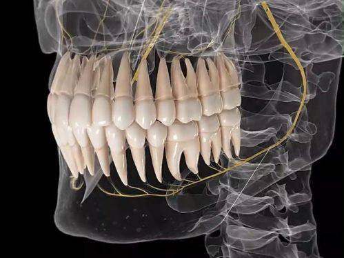 张建朋医生真实评价:患者认可与高度赞誉