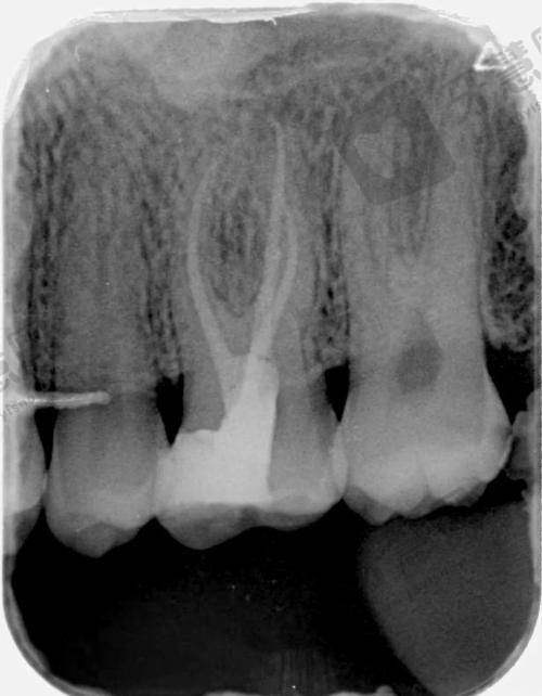 白若飞怎么挂号预约