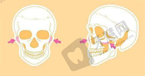 为什么选择沈阳杏林整形美容医院?