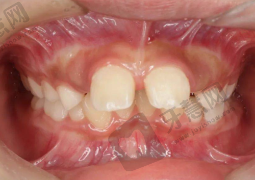 鼎植口腔医生团队实力解析