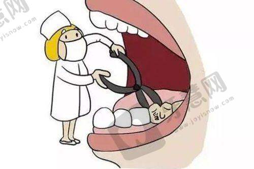 预约挂号指南与联系方式