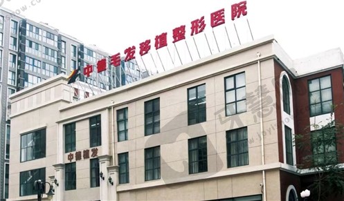 北京中德毛发移植医院